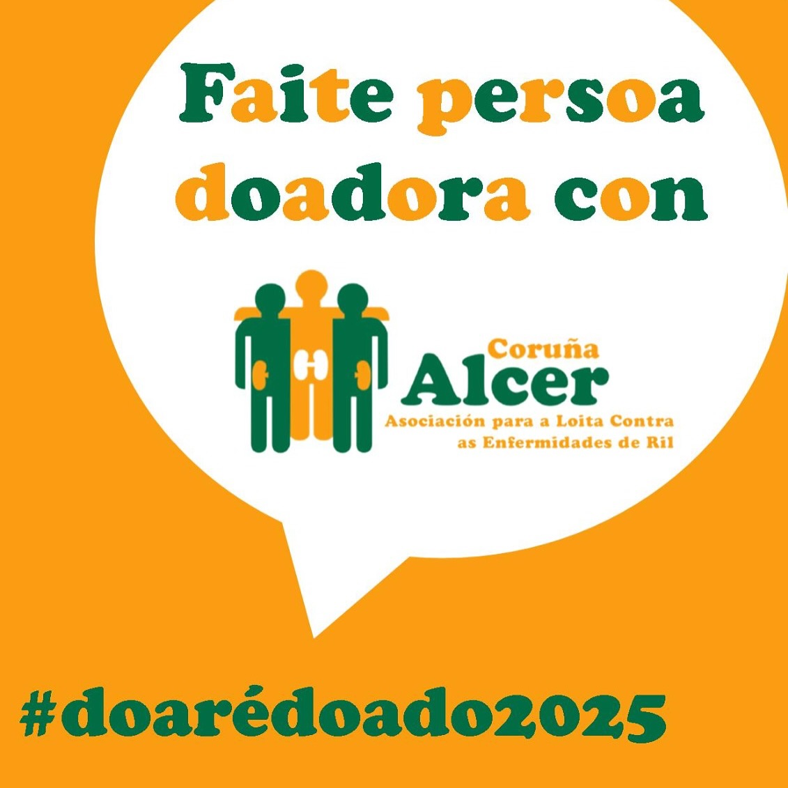 Alcer 7 vidas